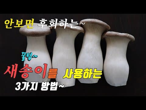 👍새송이로 꼭 만들어보세요. 🤗 새송이로 할수있는 꿀반찬 요리 3가지 강쉪