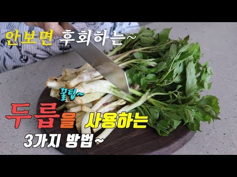 봄에는 향긋한 두릅 요리 3가지 꿀팁!! 강쉪