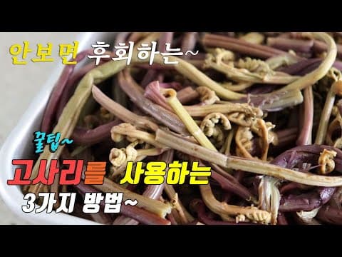 간단하고 맛있는 고사리 요리 3가지~ 강쉪 korean food recipes 3 kinds bracken cooking recipes 들깨가루 고사리 볶음 육개장 고등어조림