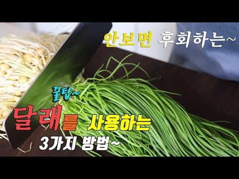 집나간 입맛이 돌아옵니다 밥도둑 달래요리 3가지~  꼭 만들어 보세요 강쉪^^