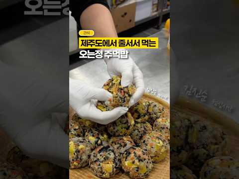 제주도에서 줄서서 먹는 오는정김밥! 주먹밥 ver.