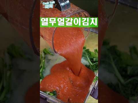 물을 넣지 않아야 맛있고 시원합니다. 😋💧🧊 #열무얼갈이김치 #김치 #레시피